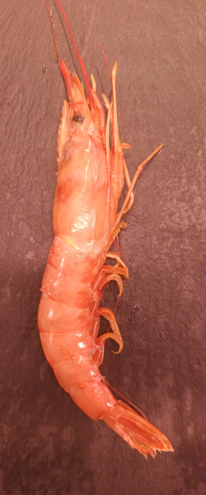 Gamba llagostinera mitjana 30/40u